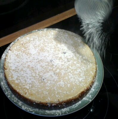Dusting a Blueberry Cheesecake